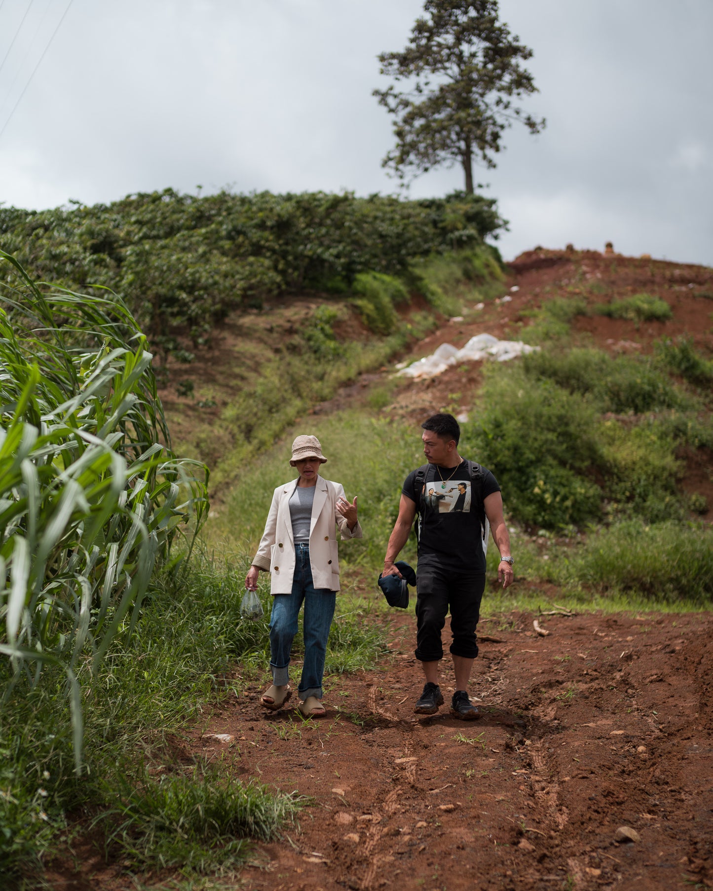 Coffea Canephora - Single Origin House Espresso