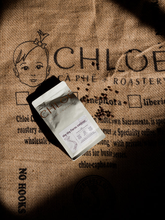 Chloé Cà Phê — Trạm Hành Thy Thy Farm Natural Catimor Coffee Beans | Cầu Đất, Đà Lạt, Việt Nam