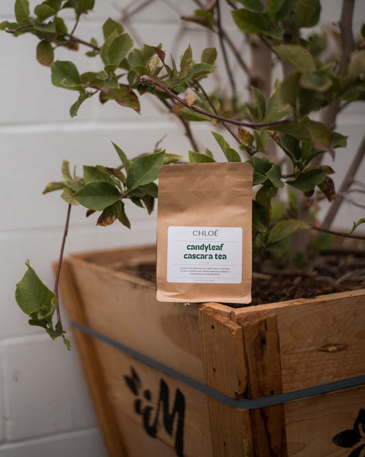 Organic Candyleaf Cascara Tea Bags - Pack of 5