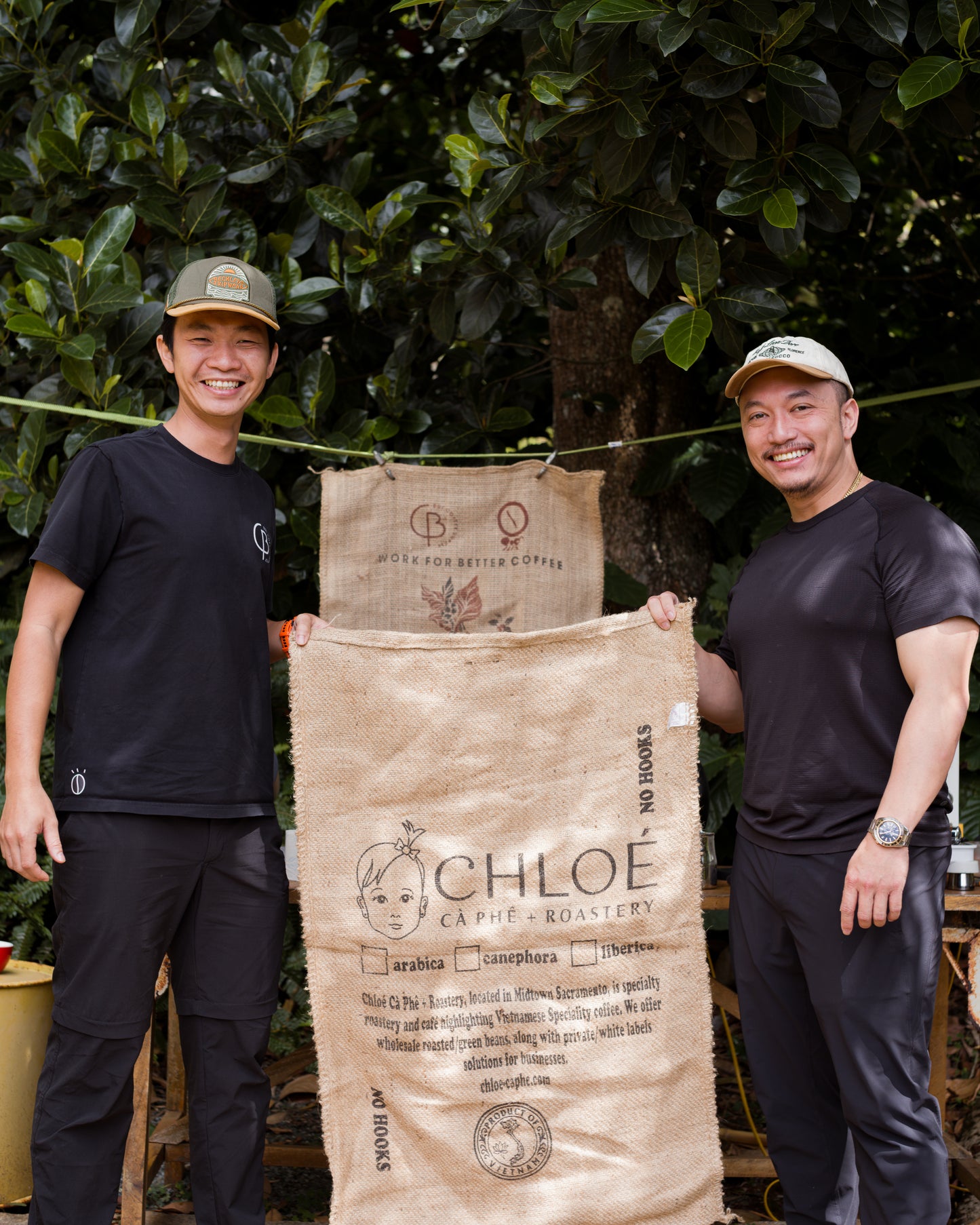Fine Robusta - Anaerobic Natural with Salt - Bui Coffee Supply