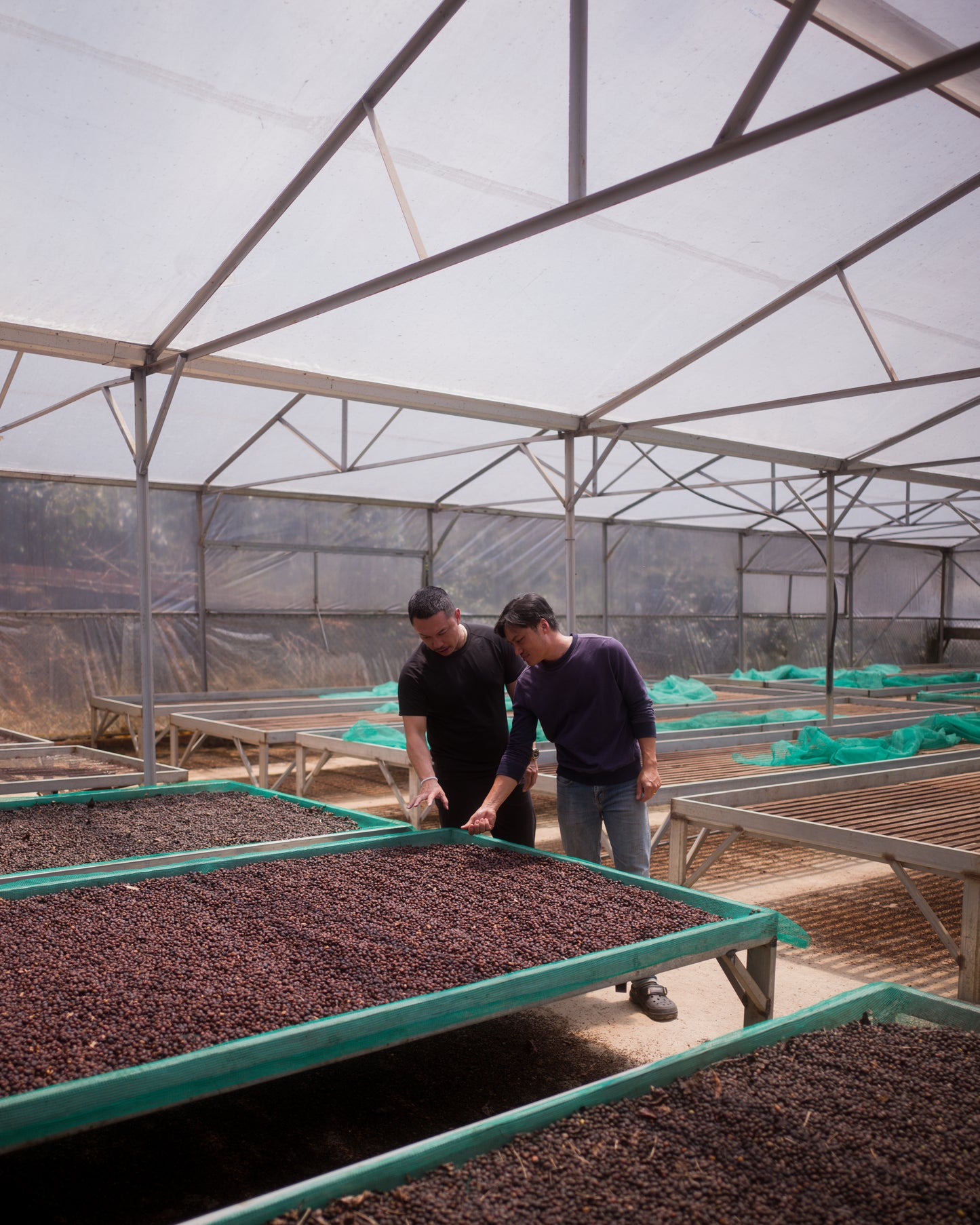 Java - Anaerobic Honey - Vuong Farms