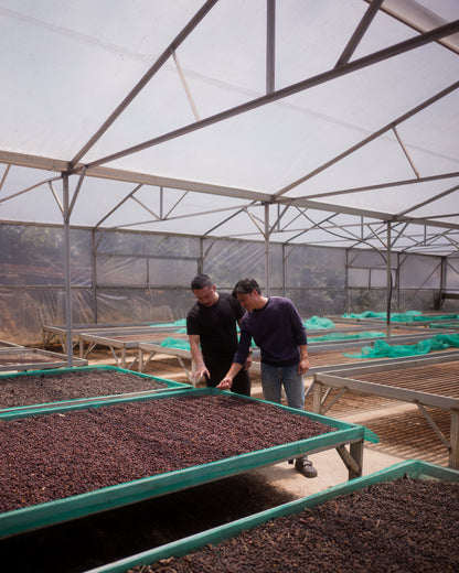 Java - Anaerobic Honey - Vuong Farms