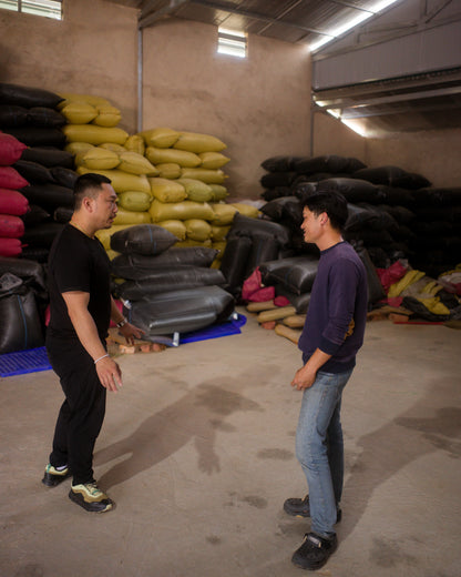 Java - Anaerobic Natural - Vuong Farm