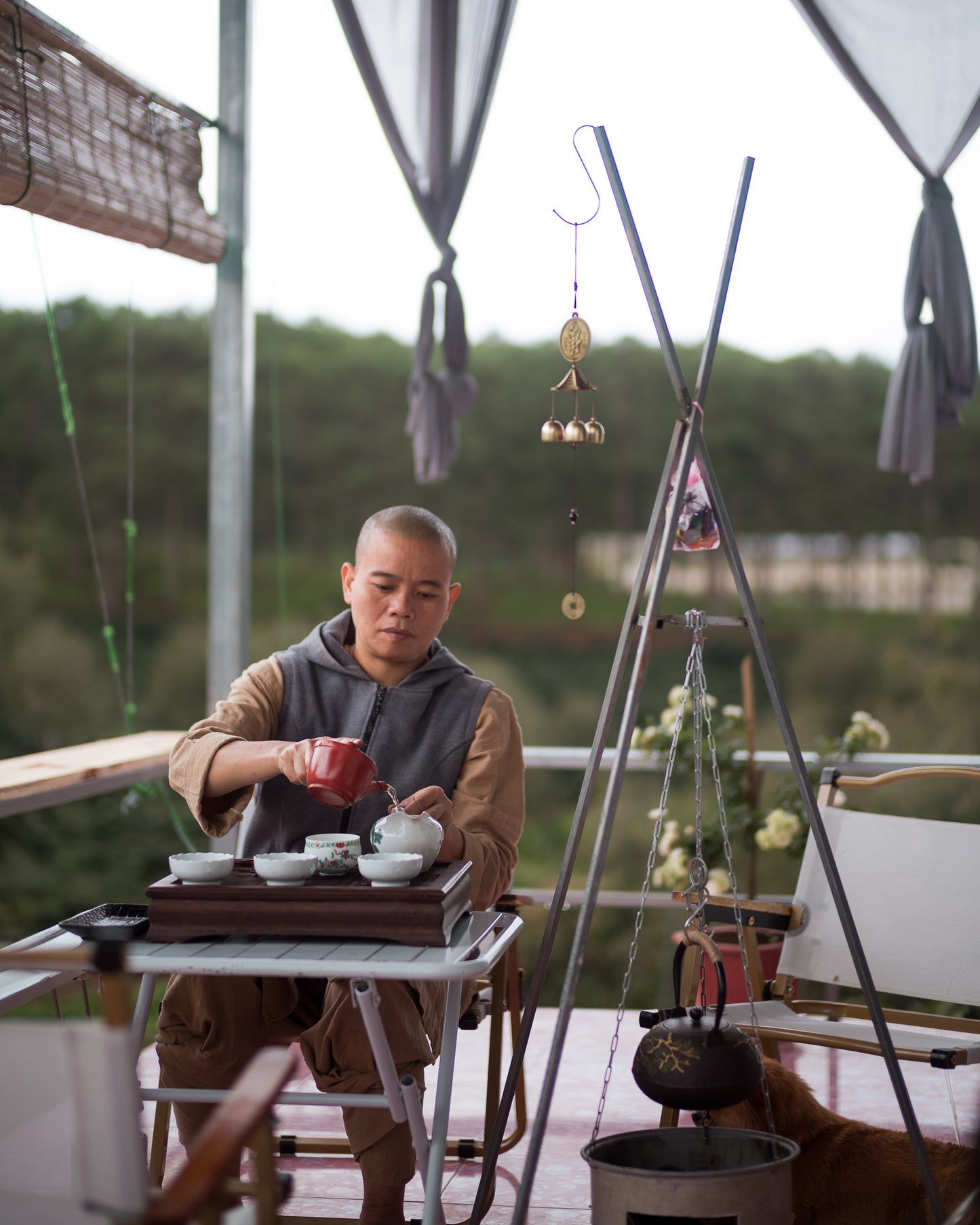 Organic Candyleaf Cascara Tea Bags - Pack of 5